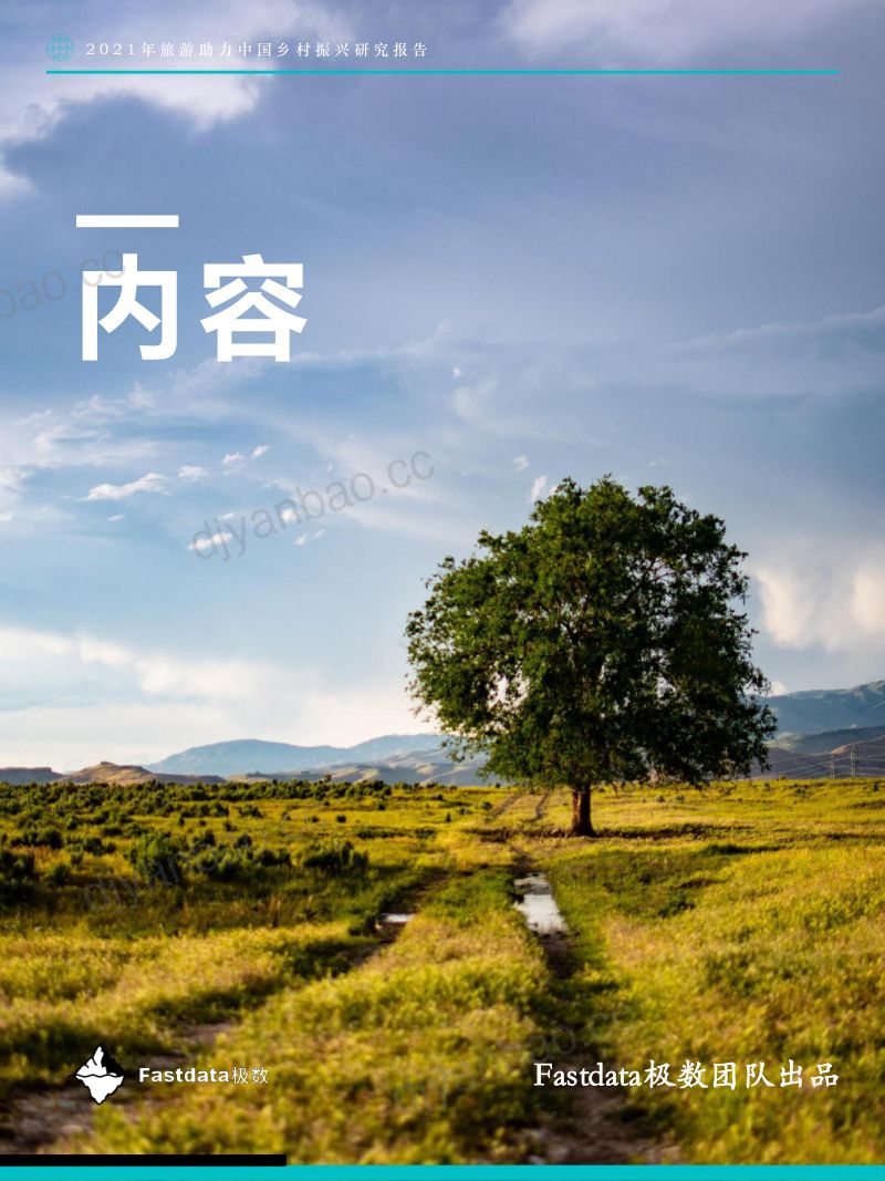 27-【极数】旅游助力中国乡村振兴研究报告 第3页