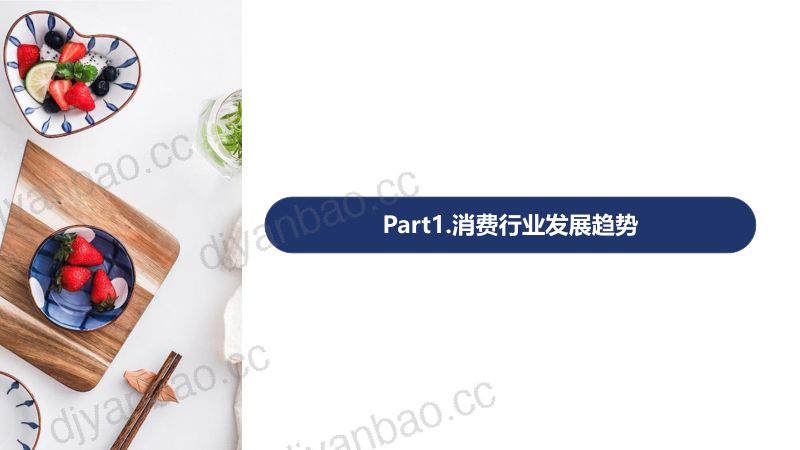 【阿里巴巴】2023年家居装饰、节庆派对热销趋势及品类策略(2023年5月) 第3页
