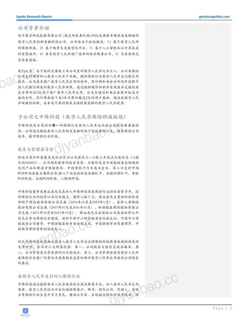 【Genetic Equities】开创数字人民币的丝绸之路 第2页