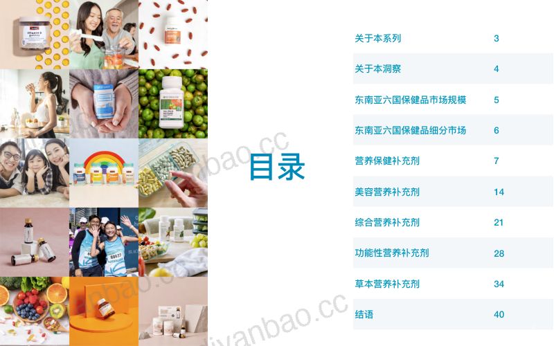 【探谋网络科技】2023东南亚保健品电商行业市场洞察 第2页