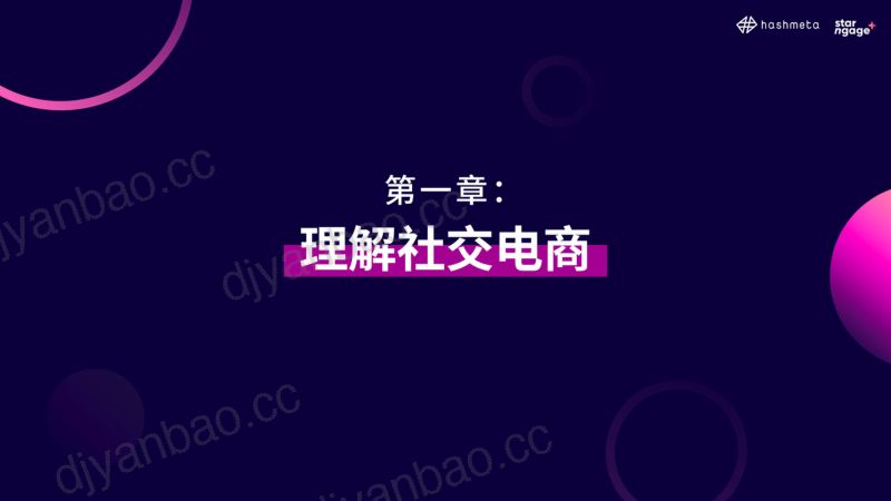 【StarNgage】东南亚网红营销社交电商&网红经济-2023年行业分析报告 第3页