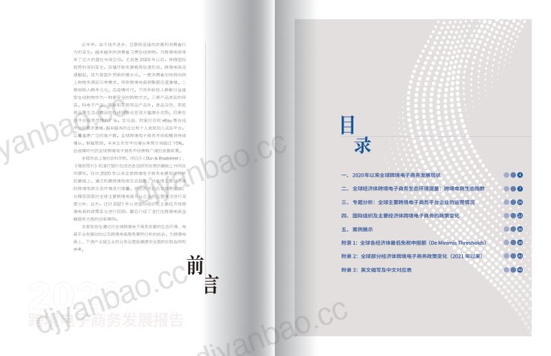上海社科院&amp渣打银行：2023跨境电子商务发展报告 第3页