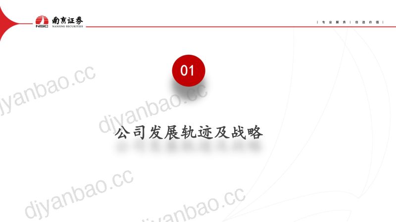 【南京证券】内筑智能手机、电脑业务基底，外拓服务器、汽车电子“枝干” 第3页