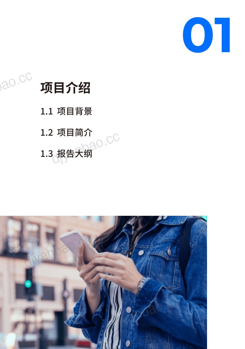 【飞书深诺】2022年智能手机品牌与用户调研报告 第3页