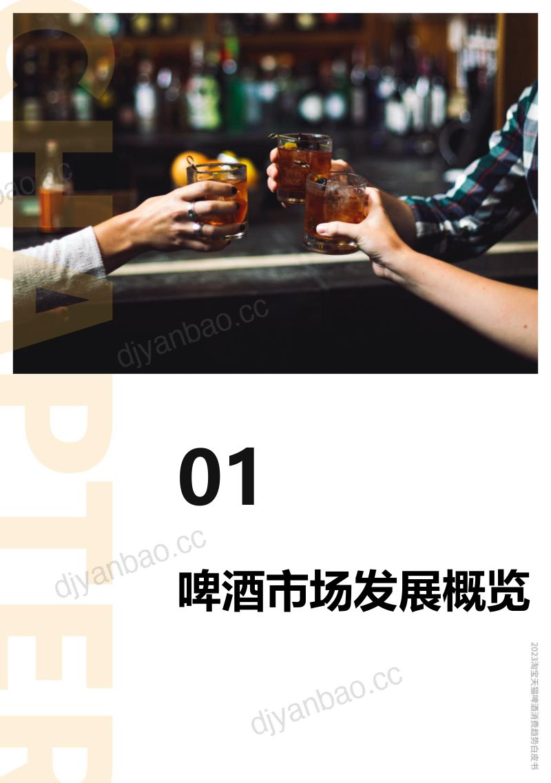 10-【智篆商业】2023淘宝天猫啤酒趋势白皮书 第3页