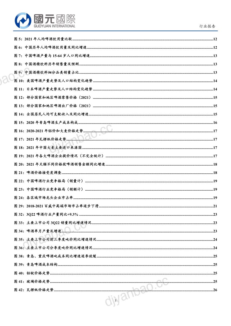 18-【国元国际】啤酒行业：差异化竞争开启，啤酒高端化持续演绎 第3页