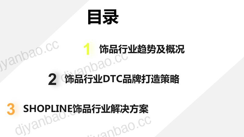 【SHOPLINE】饰品行业DTC品牌打造白皮书 第2页