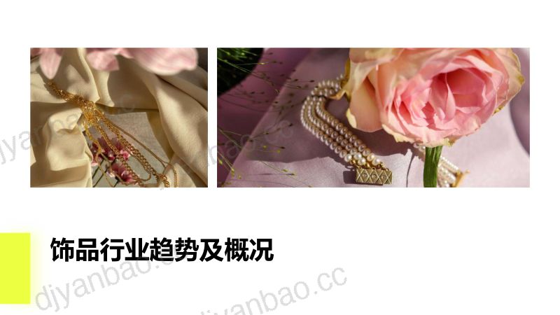 【SHOPLINE】饰品行业DTC品牌打造白皮书 第3页