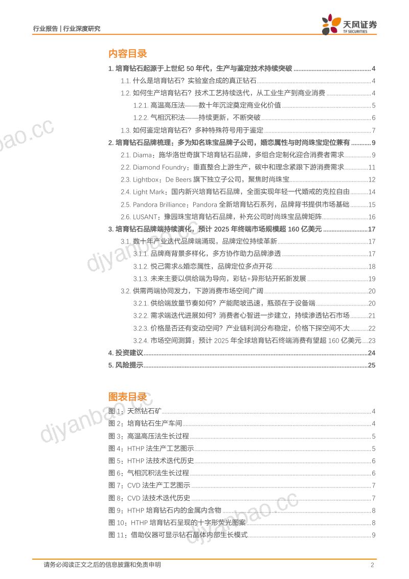 【天风证券】培育钻石行业研究报告：品牌百花齐放，孕育钻石新生 第2页