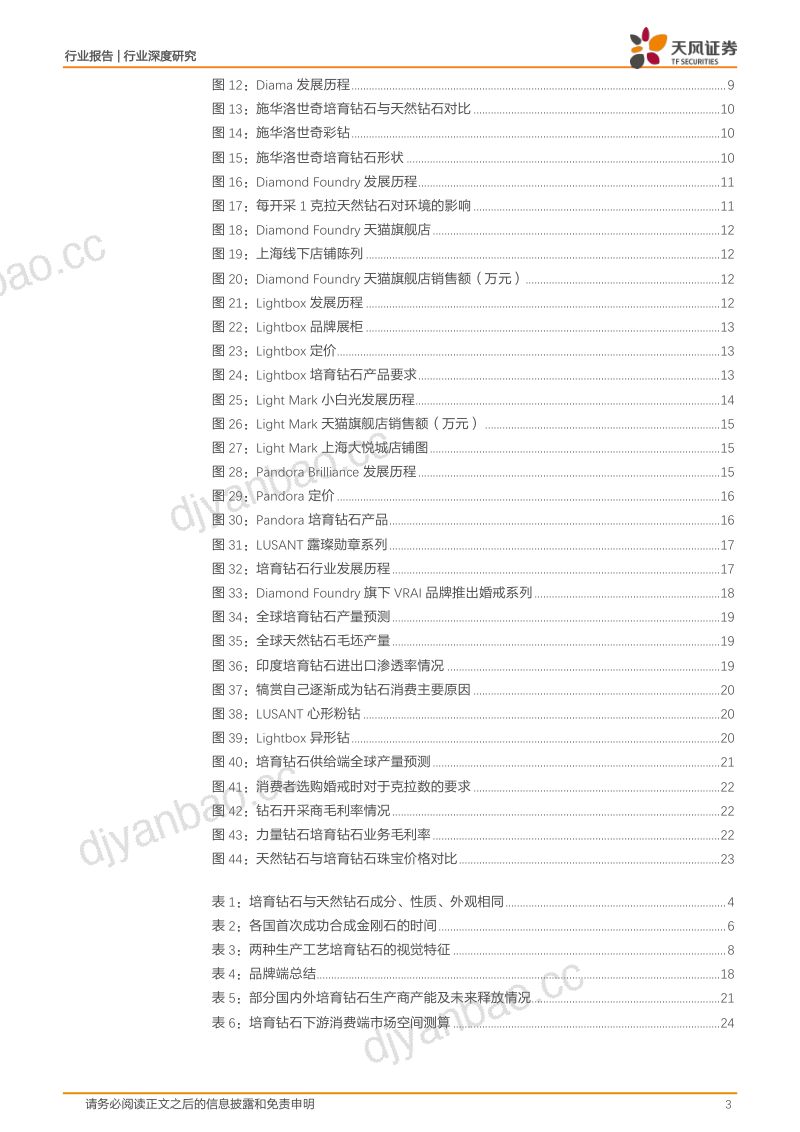 【天风证券】培育钻石行业研究报告：品牌百花齐放，孕育钻石新生 第3页