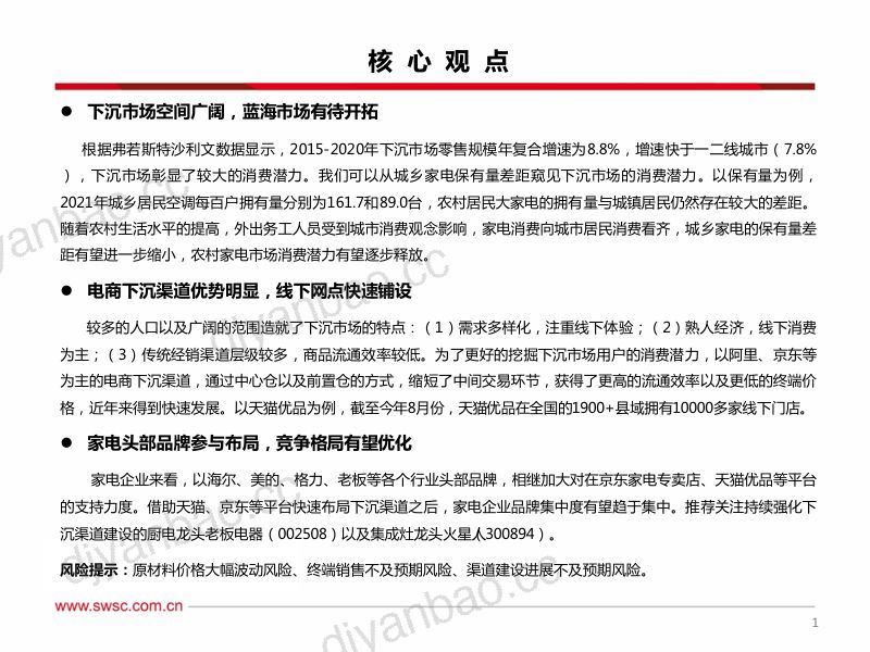【西南证券】家电渠道专题报告：电商下沉赋能夫妻店 第2页