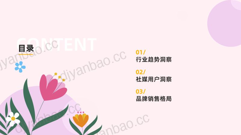 【果集数据】2024年Q1抖音女性卫生用品行业趋势洞察 第3页