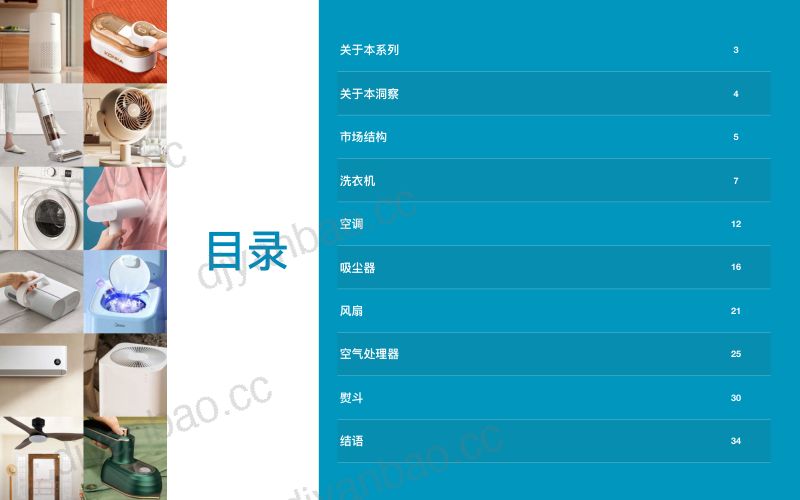 【TMO】家电器电行业:2023东南亚家电器电商业市场洞察 第2页