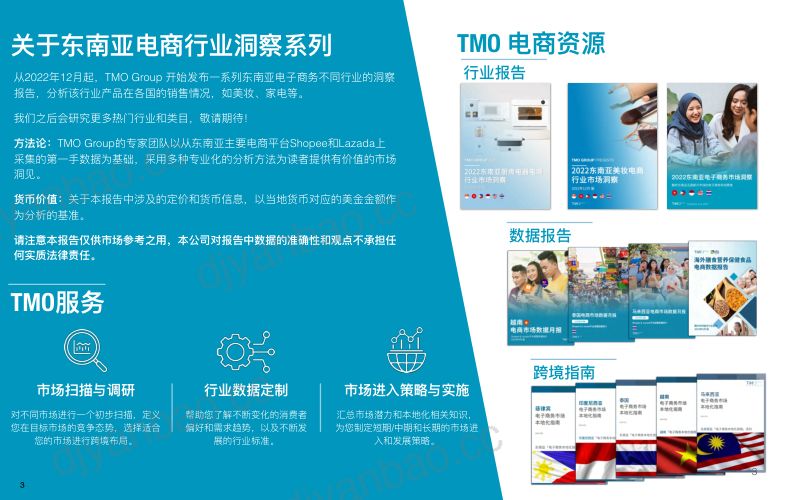 【TMO】家电器电行业:2023东南亚家电器电商业市场洞察 第3页