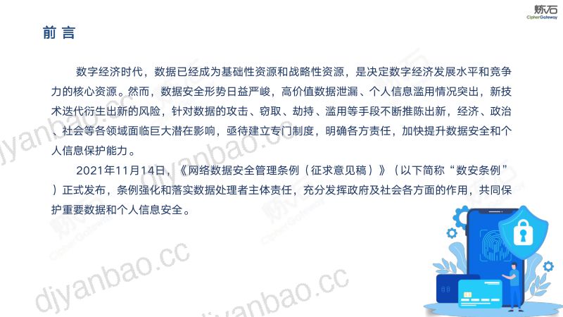 78-【炼石网络】网络安全行业:图解《网络数据安全管理条例(征求意见稿)》 及数据安全技术体系 第3页