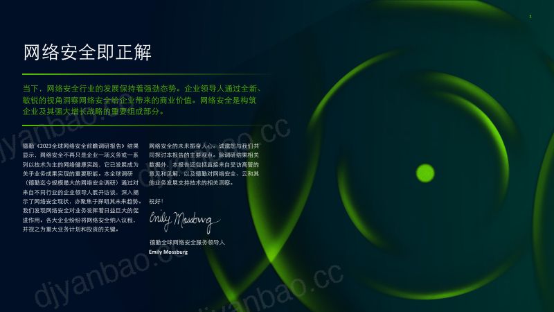 31-【德勤】2023全球网络安全前瞻调研报告 第2页