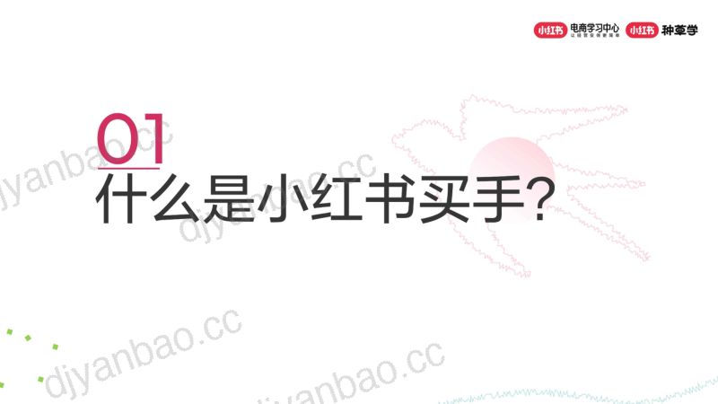 【小红书】生意新高地:小红书电商买手合作 第3页