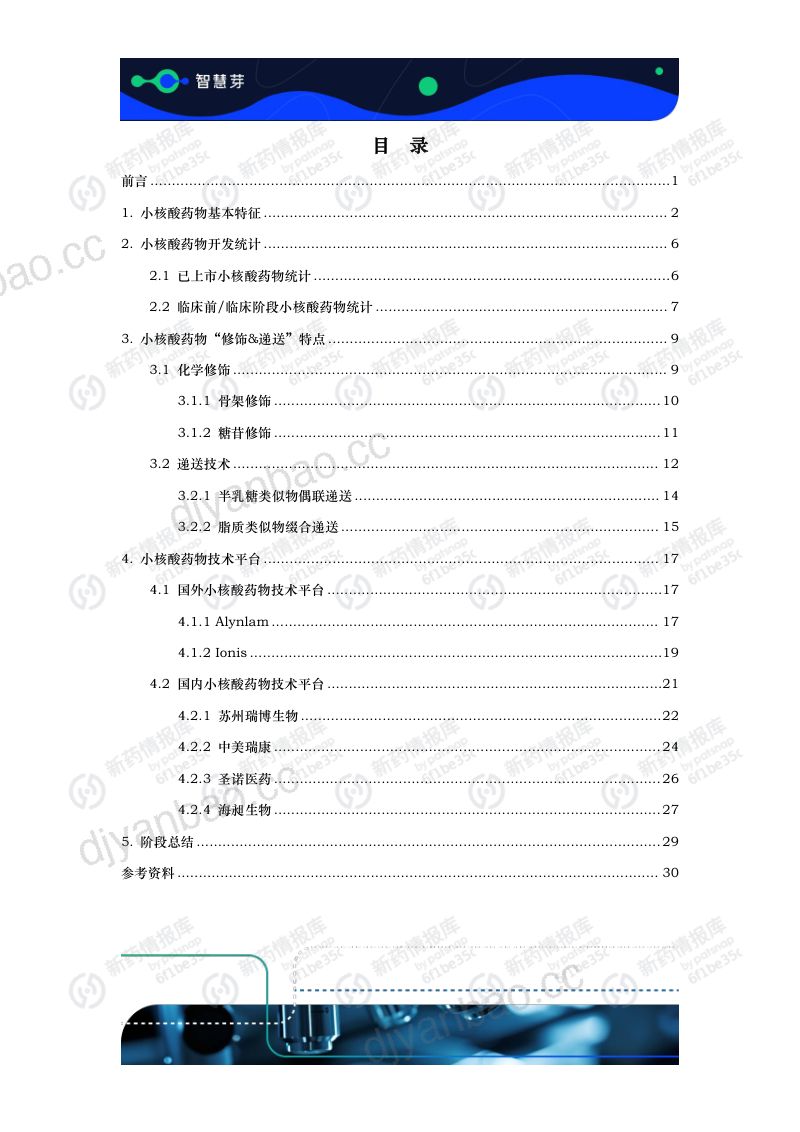 【智慧芽】2024小核酸药物研发进展及技术平台调研报告 第3页
