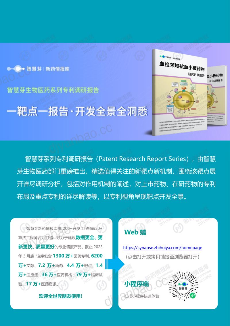 【智慧芽】血栓领域抗血小板药物研究进展报告 第2页