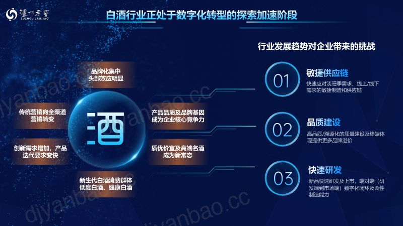 [泸州老窖]酒行业数字化转型趋势下的供应链人才队伍建设 第3页