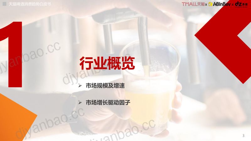 [多准]2022天猫啤酒趋势白皮书 第3页