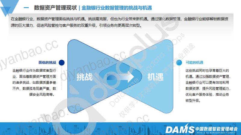 [DAMS]AI赋能数据资产管理革新：在数据标准等多领域的探索实践 第3页
