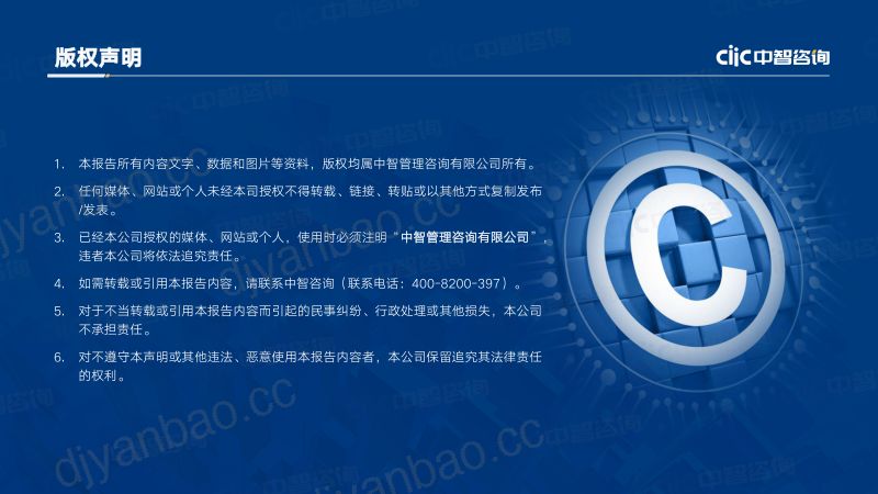 [中智咨询]企业人力资源数字化转型白皮书（精华版） 第2页