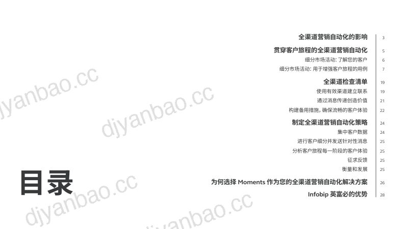 [Infobip]全渠道营销自动化指南 第2页