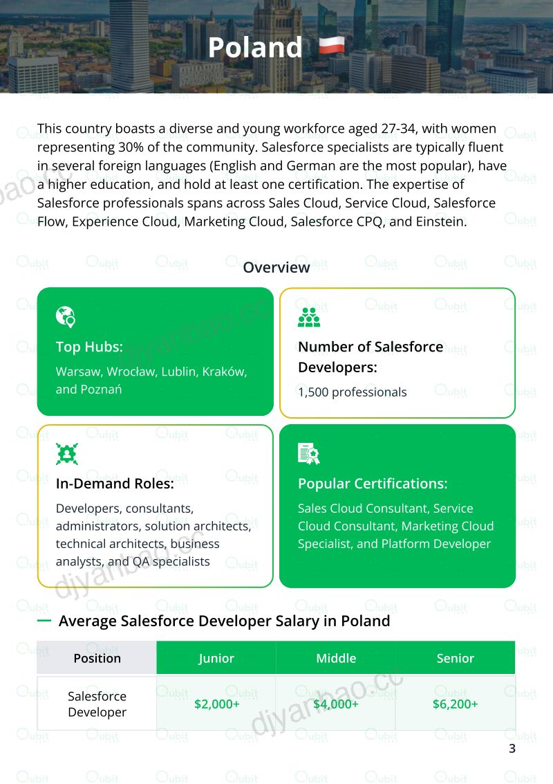Qubit Labs：2026全球 Salesforce 人才市场与薪酬趋势洞察报告：面向 IT 管理者（英文版） 第3页