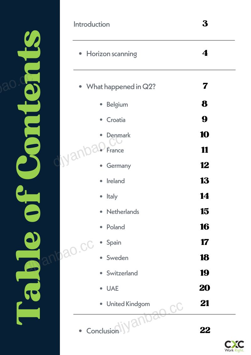 CXC Global：2026年第二季度 EMEA 劳动力风险报告（英文版） 第2页