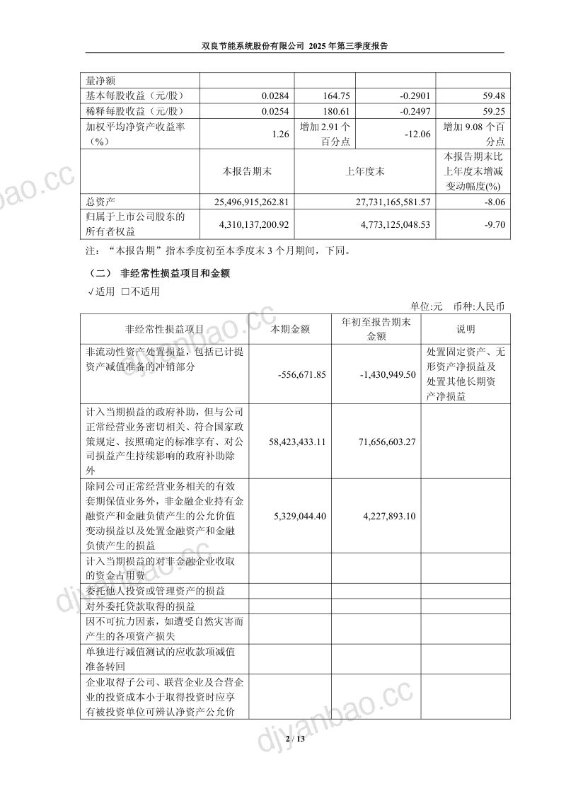 双良节能：2025年第三季度报告 第2页