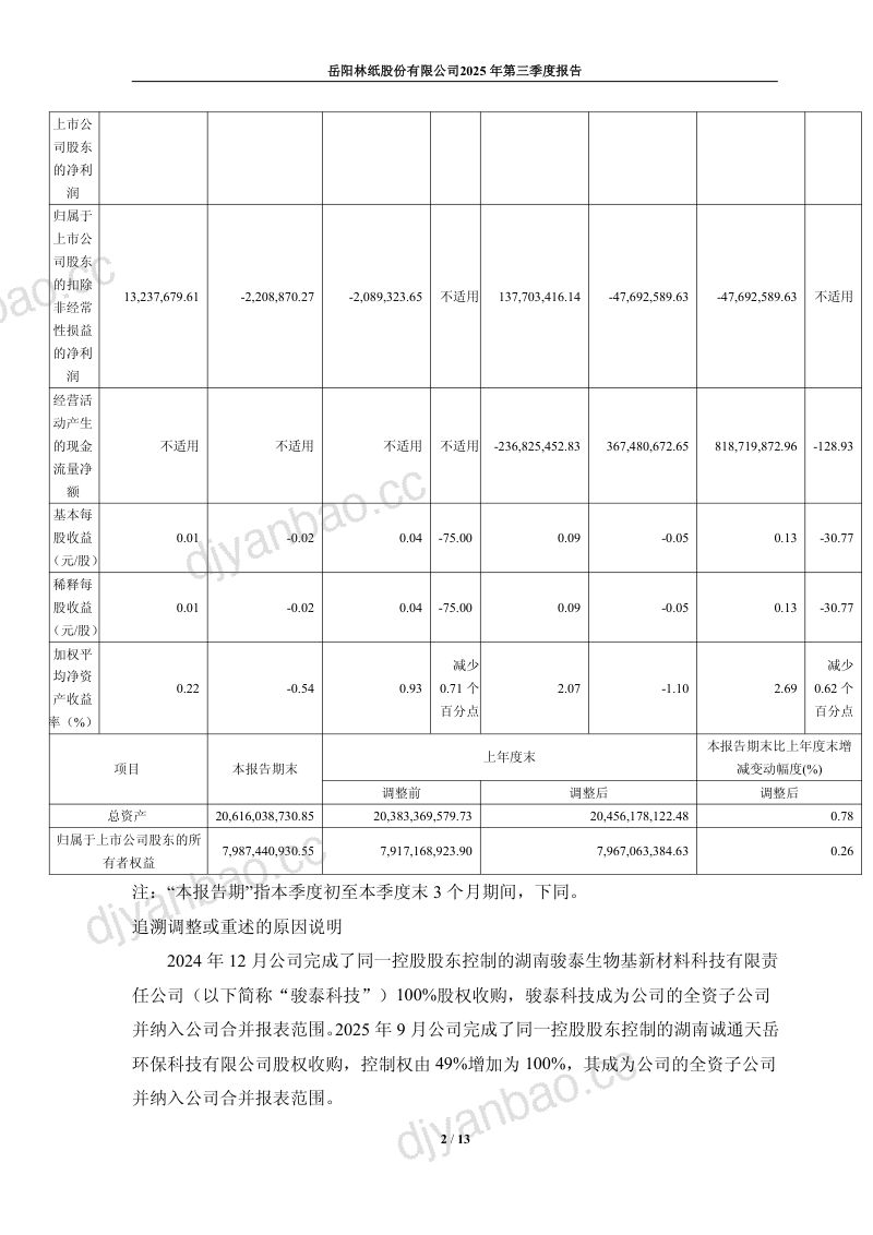 岳阳林纸:2025年第三季度报告 第2页