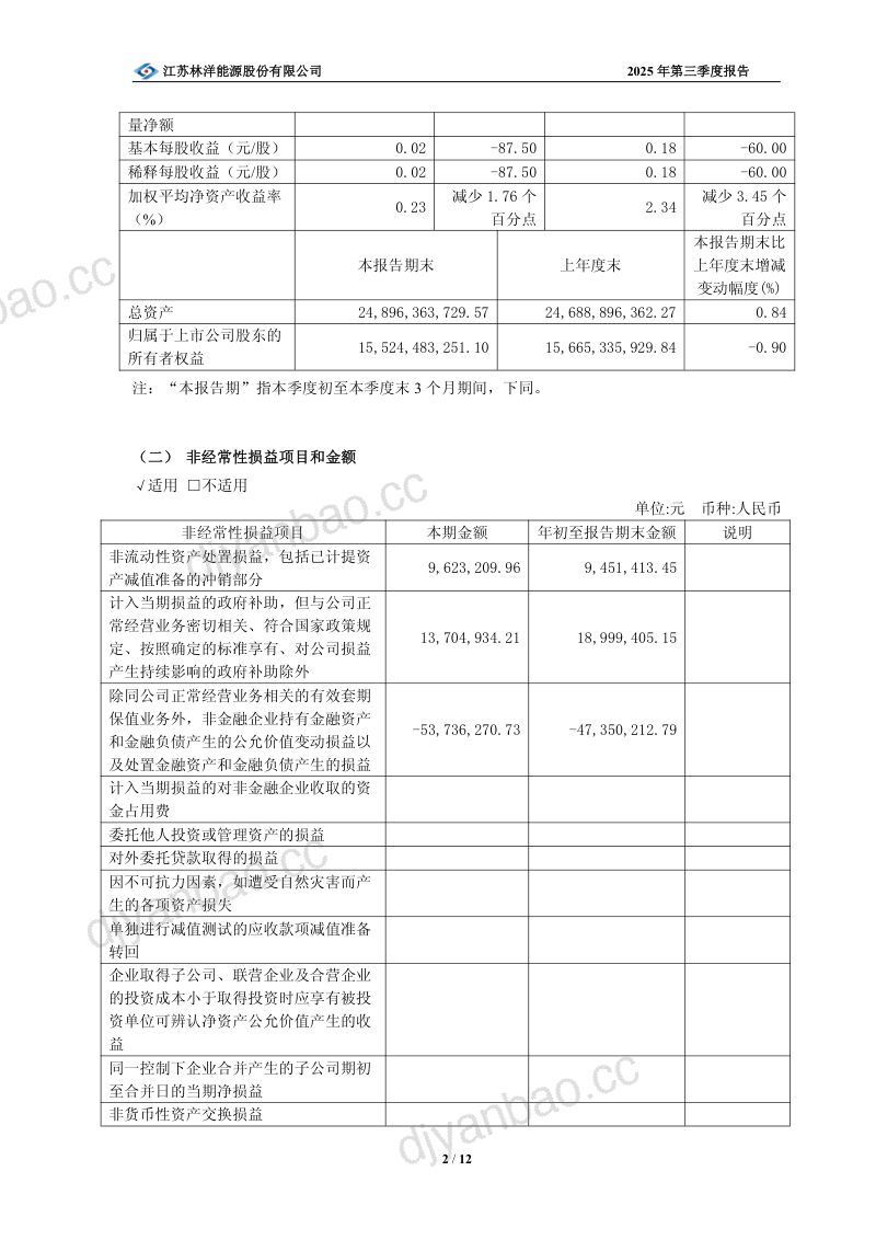 林洋能源：2025年第三季度报告 第2页