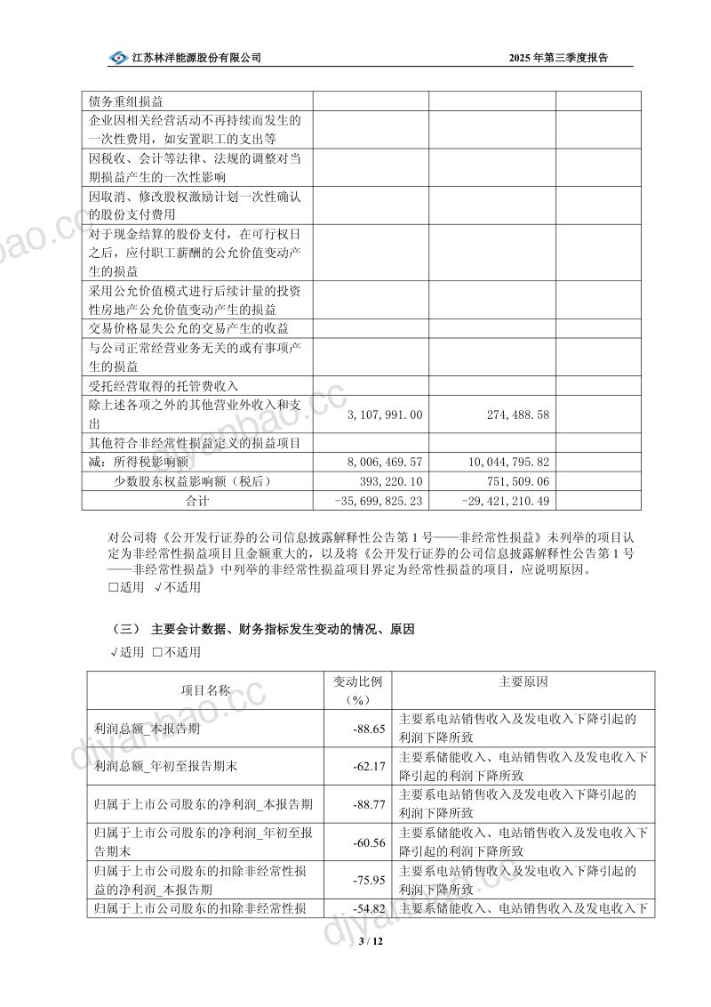 林洋能源：2025年第三季度报告 第3页