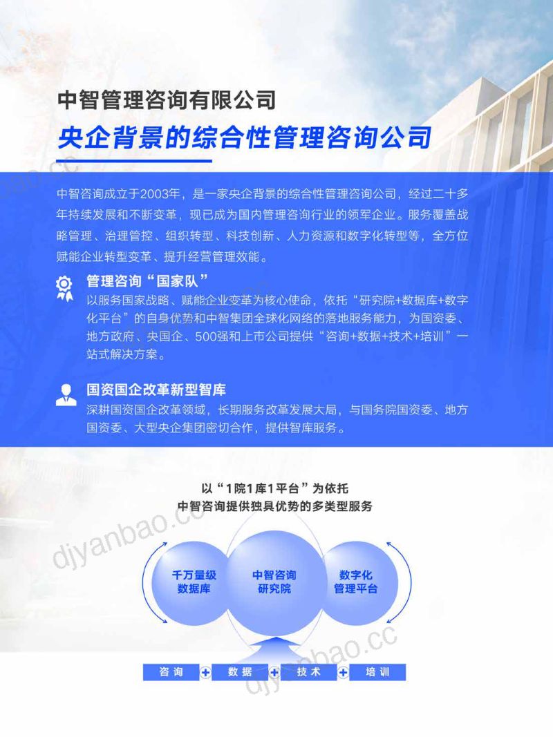 中智咨询:2026年水电行业高质量发展报告 第2页