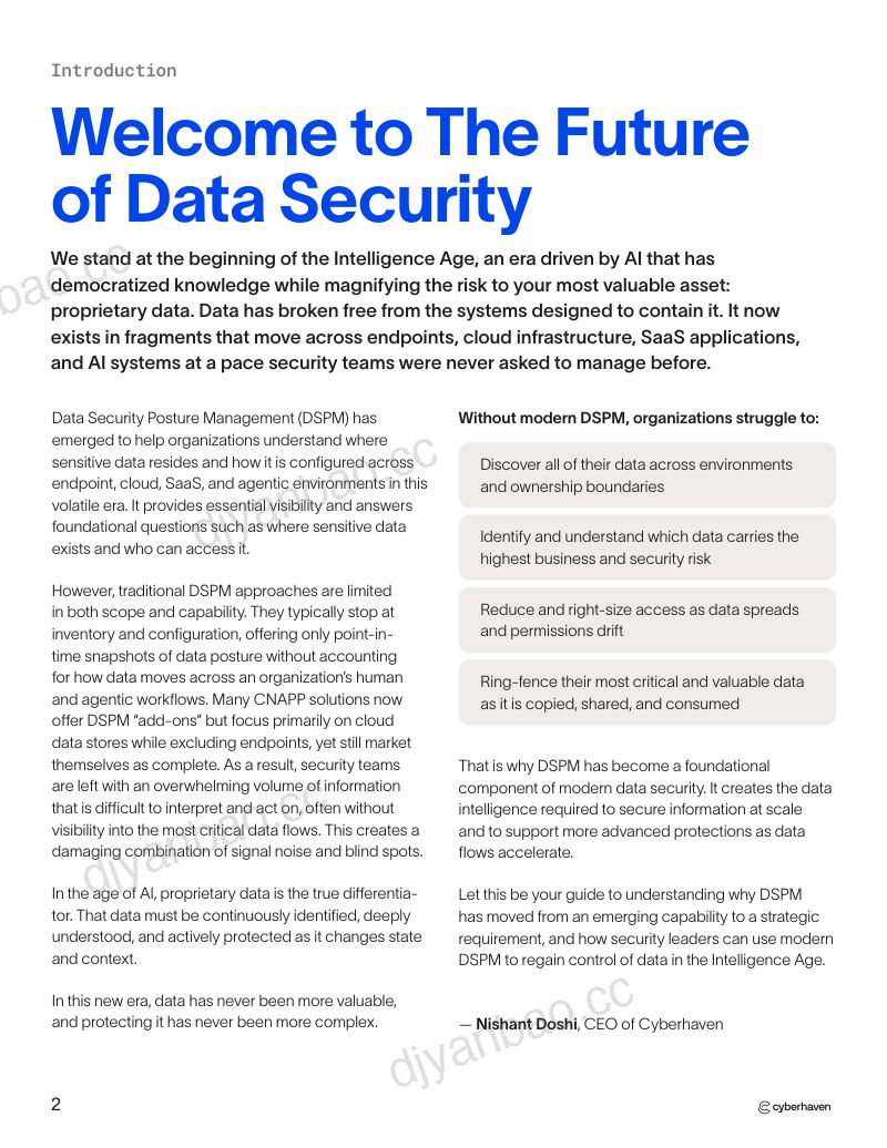 Cyberhaven :2026现代 DSPM(数据安全态势管理) 实操指南:从数据可视到管控(英文版) 第2页
