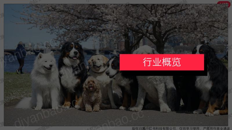 小红书:2023年1月小红书婚嫁(含写真)行业报告 第3页