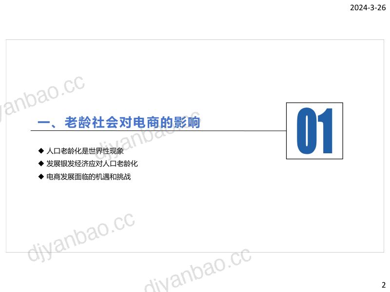 银发电商发展报告 第2页
