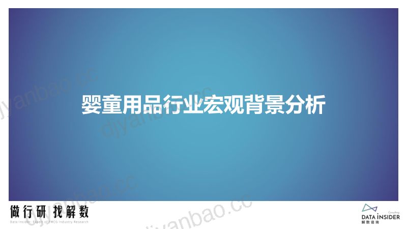 解数咨询婴儿手推车学步车行业调研报告 第3页