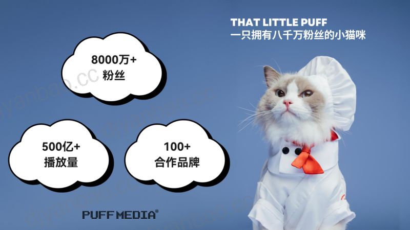 品牌出海全链路“品效合一”的制胜策略-张明驰 泡芙传媒-Foodaily FBIC2024 第3页