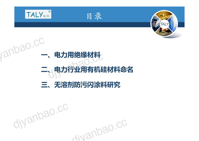 2019年电力行业用绝缘耐候防污闪材料与技术 第2页
