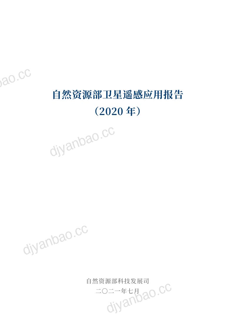 自然资源部科技发展司2020年卫星遥感应用报告 第2页