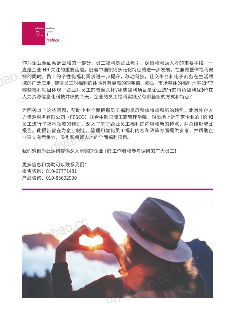 凯哲咨询:2019企业员工福利管理与弹性福利深度调研报告(52页) 第2页