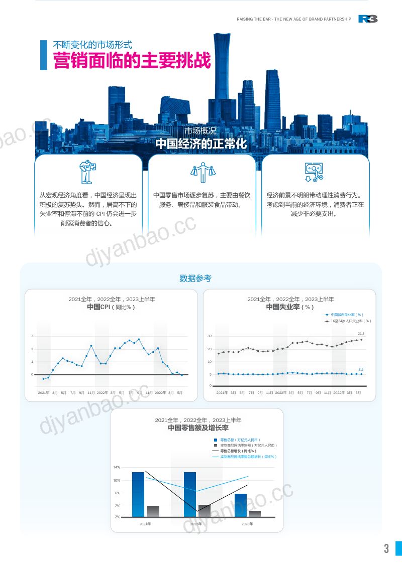 R3胜三：2024品牌健康合作关系模型、洞察及建议白皮书（22页） 第3页
