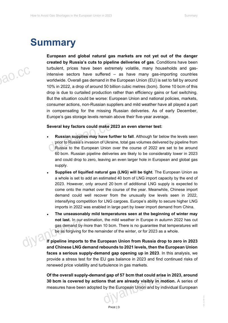 国际能源署IEA如何在2023年避免欧盟天然气短缺英文版 第3页