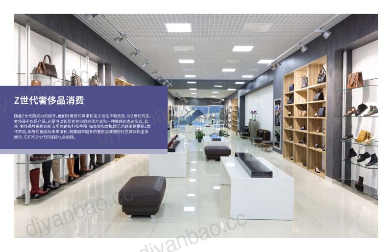 英敏特2022中国奢侈品与时尚洞察概览报告 第3页