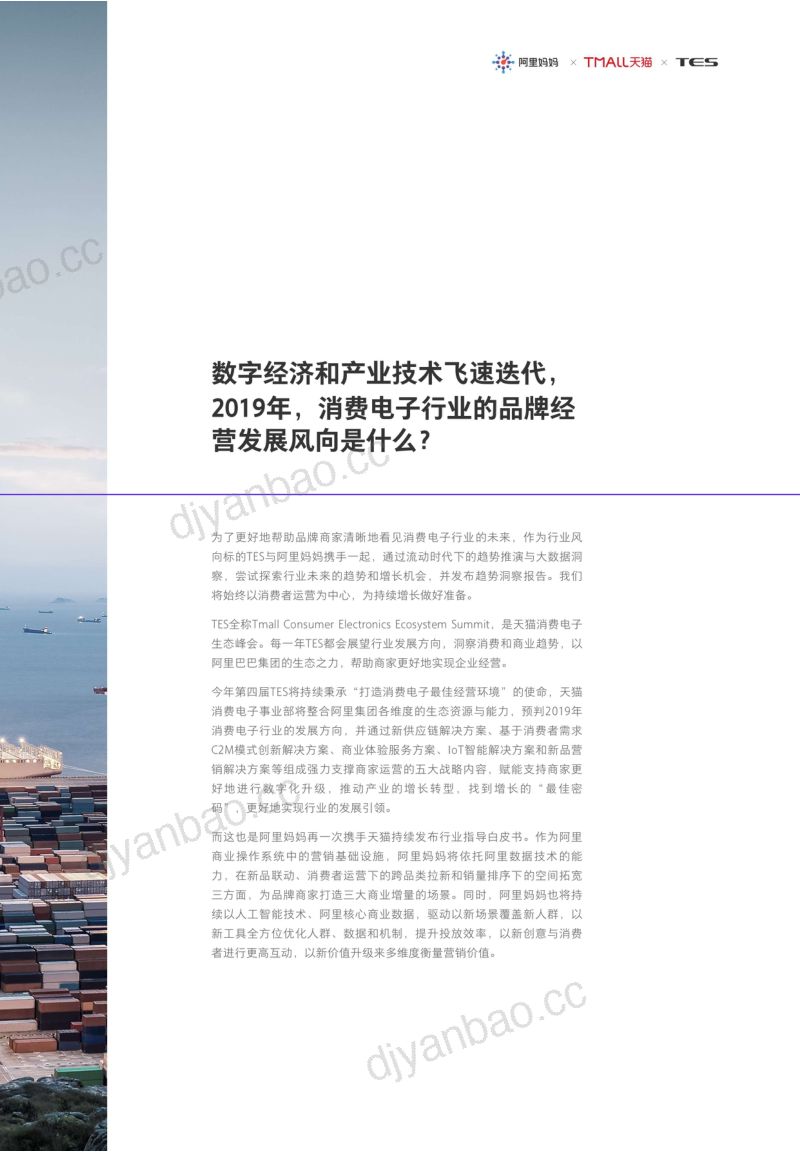阿里妈妈新周期下消费电子趋势洞察与商业增长 第3页