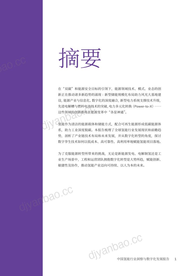 剑维软件:2023年中国氢能行业洞察与数字化发展报告(35页) 第2页
