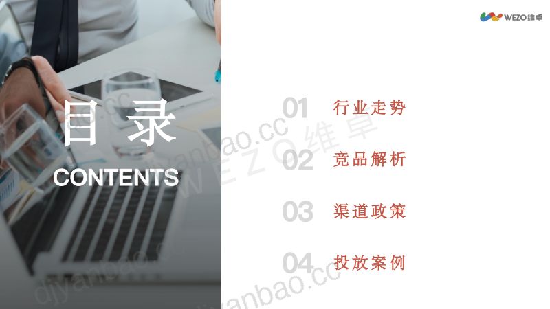 维卓:AI社交洞察报告2024(32页) 第2页