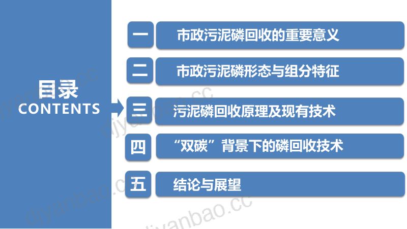 双碳背景下市政污泥回收磷技术与应用前景 第2页